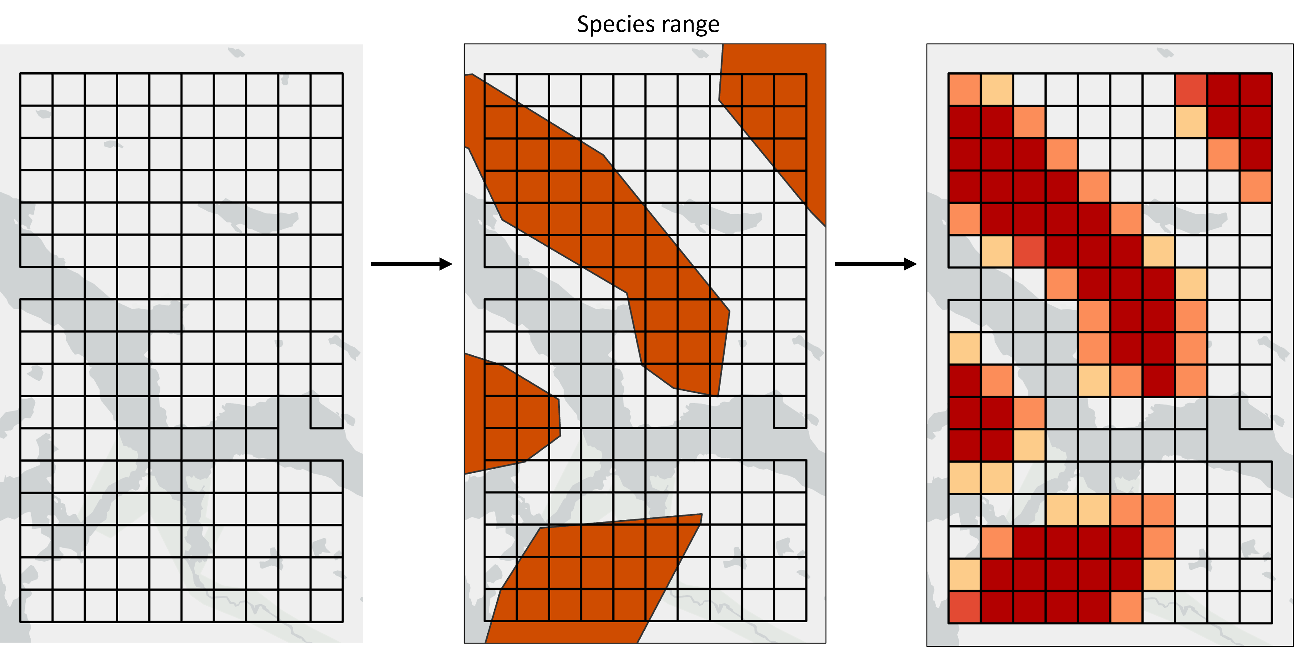 *Fig 1. Species ranges representing areas of presence/absence are converted into plannnig unit values representing the area of each planning unit covered by the species range.*