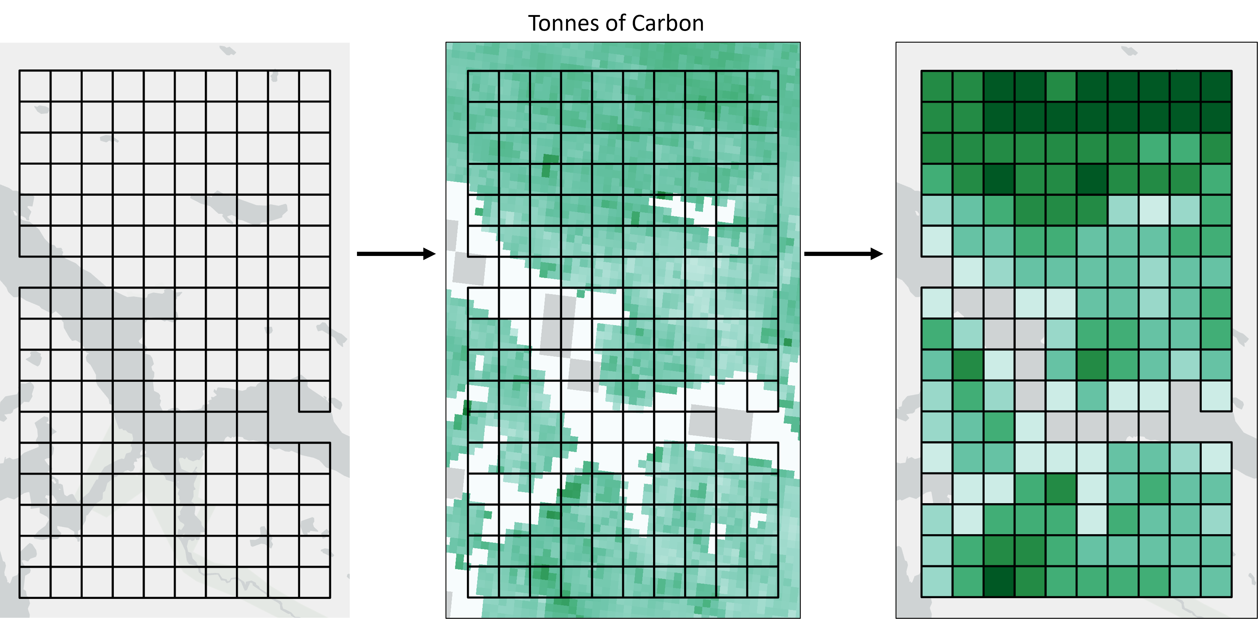 *Fig 2. A raster layer representing tonnes of Carbon can be summed into the planning units and can retain the same units.*