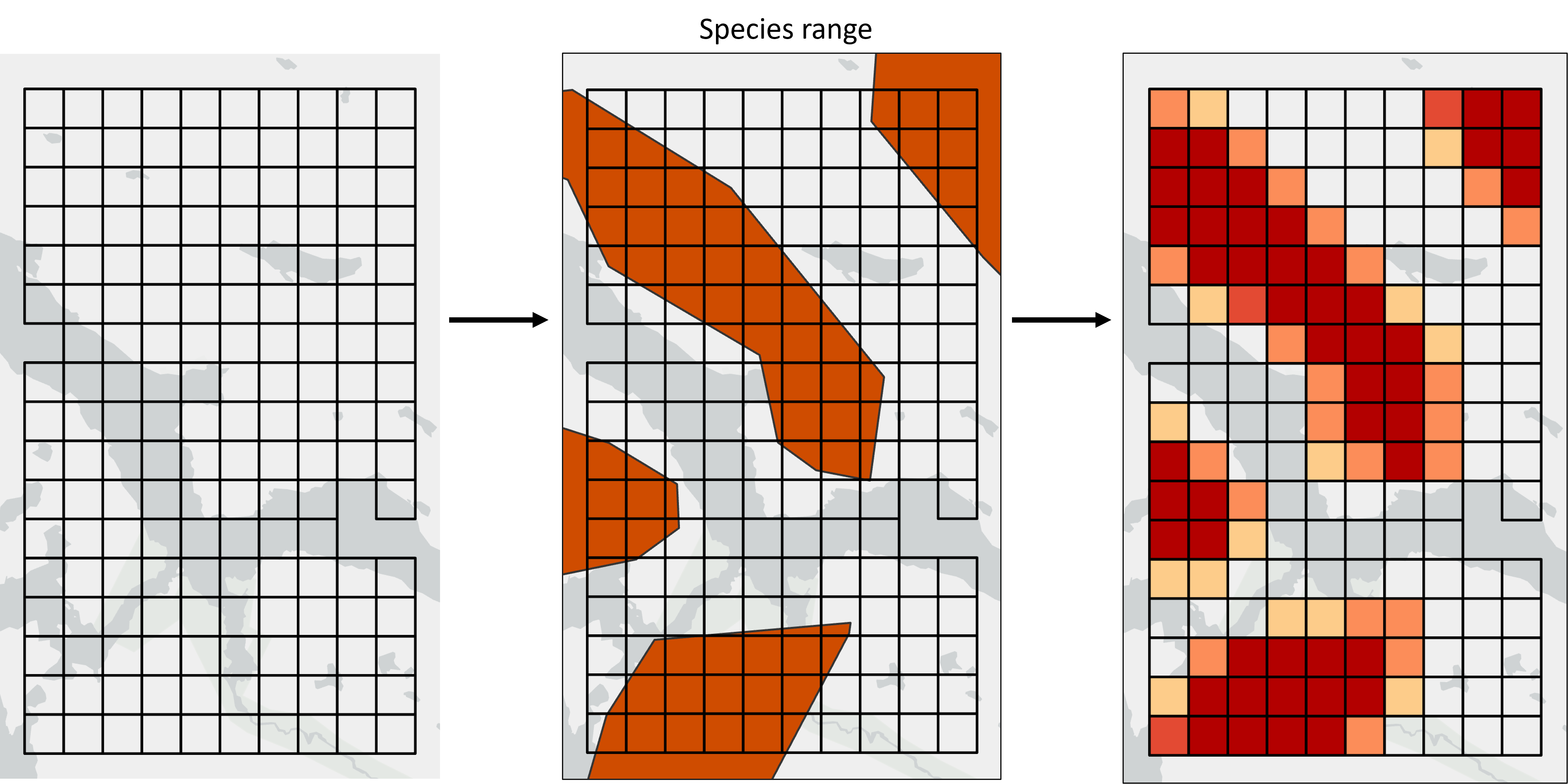 *Fig 1. Species ranges representing areas of presence/absence are converted into planning unit values representing the area of each planning unit covered by the species range.*